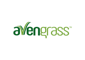 Avengrass