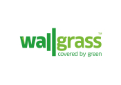 Wallgrass